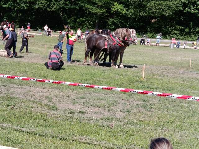 IMG_20260523_160042